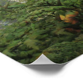 Gorilla Poster (Hoek)