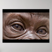 gorilla poster (Voorkant)