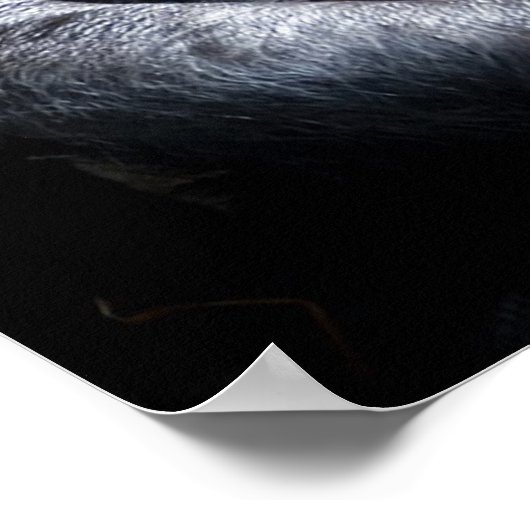 Gorilla Poster (Hoek)