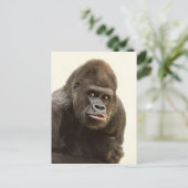 Gorilla Pout Briefkaart (Staand voorkant)