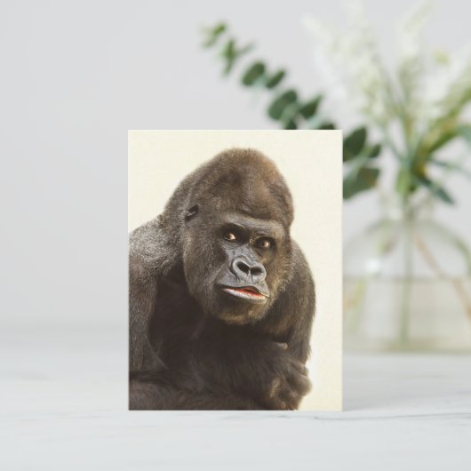Gorilla Pout Briefkaart (Staand voorkant)
