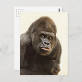 Gorilla Pout Briefkaart (Voorkant / Achterkant)