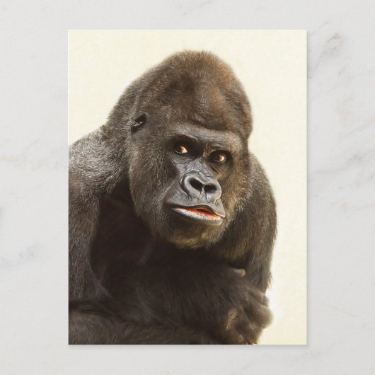 Gorilla Pout Briefkaart (Voorkant)