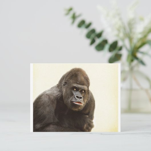 Gorilla Pout Briefkaart (Staand voorkant)