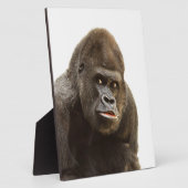 Gorilla Pout Fotoplaat (Zijkant)