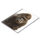 Gorilla Pout Notitieboek (Linkerzijde)