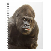 Gorilla Pout Notitieboek (Voorkant)