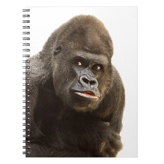 Gorilla Pout Notitieboek (Voorkant)