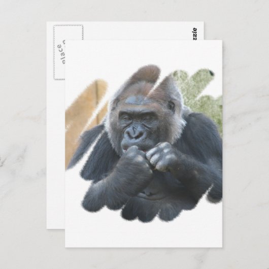 Gorilla Primate Briefkaart (Voorkant / Achterkant)