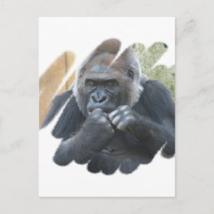 Gorilla Primate Briefkaart