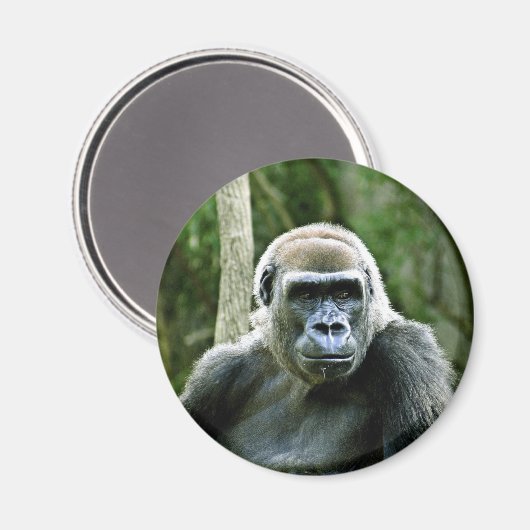 Gorilla profiel magneet (Voorkant / Achterkant)