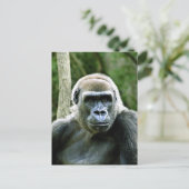 Gorilla Profile Briefkaart (Staand voorkant)