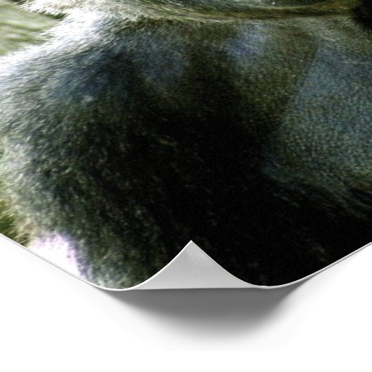 Gorilla Profile Print (Hoek)