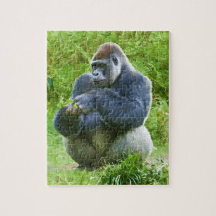 Gorilla Puzzle Legpuzzel