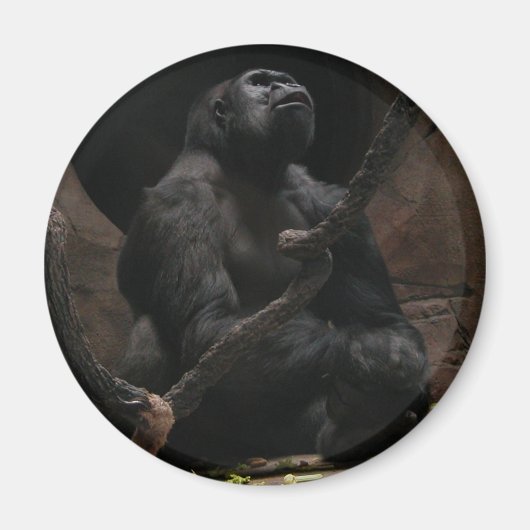Gorilla / ronde magneet (Voorkant)