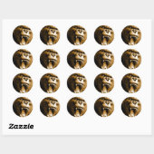 Gorilla Ronde Sticker (Vel)