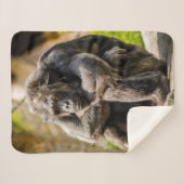 Gorilla Sherpa Deken (Voorkant (horizontaal))