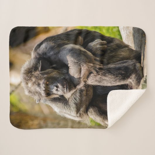 Gorilla Sherpa Deken (Voorkant (horizontaal))