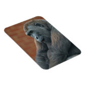 Gorilla Shufai Magneet (Rechterzijde)