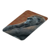 Gorilla Shufai Magneet (Linkerzijde)