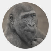 Gorilla Shufai Ronde Sticker (Voorkant)