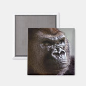 Gorilla Silverback Magneet (Voorkant / Achterkant)