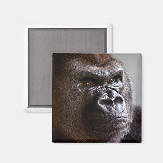 Gorilla Silverback Magneet (Voorkant / Achterkant)
