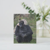 Gorilla sitting briefkaart (Staand voorkant)