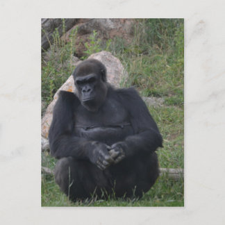 Gorilla sitting briefkaart