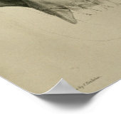  Gorilla Skull Anatomy Print Veterinary (Hoek)