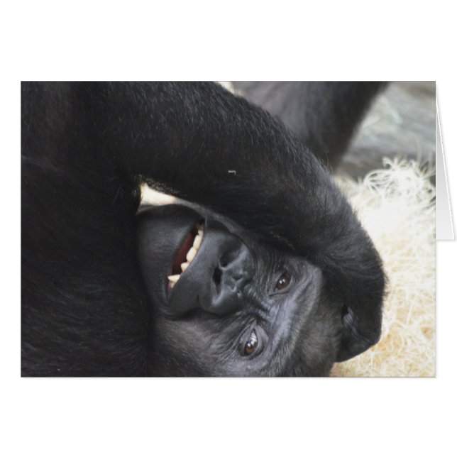 Gorilla Smile (Voorkant Horizontaal)