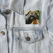 Gorilla Square Button (In situ)
