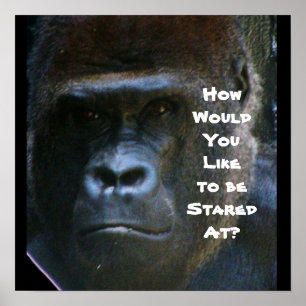 GORILLA STARE NIET OP ME POSTER
