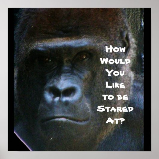 GORILLA STARE NIET OP ME POSTER (Voorkant)