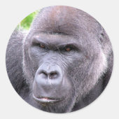 Gorilla Sticker (Voorkant)