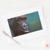 Gorilla sticker (Envelop)