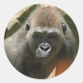 Gorilla Stickers (Voorkant)
