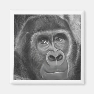 Gorilla sucking fingers Magnet2指しゃぶりのゴリラマグネット Magneet