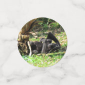 Gorilla Table Confetti (Kleine voorkant)