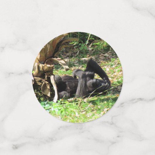 Gorilla Table Confetti (Kleine voorkant)