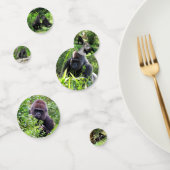 Gorilla Table Confetti (Groep)