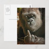 Gorilla Tall Man Briefkaart (Voorkant / Achterkant)