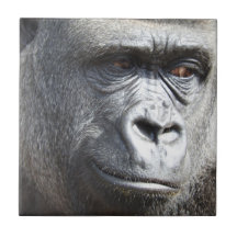 Gorilla Tile