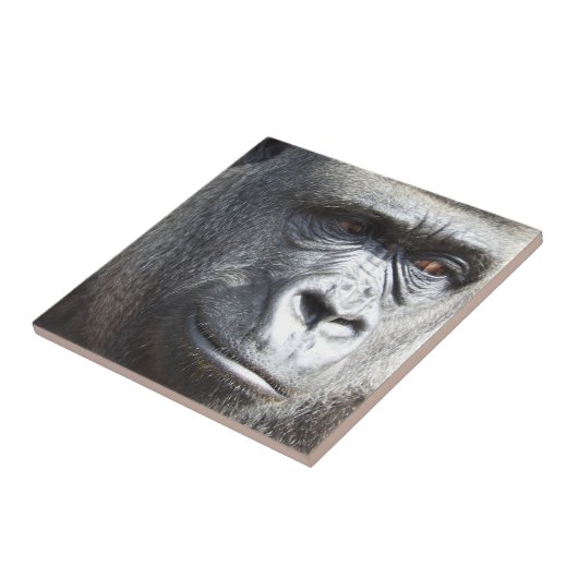 Gorilla Tile Tegeltje (Zijkant)