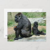 Gorilla Time Out Postcard Briefkaart (Voorkant / Achterkant)