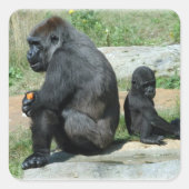Gorilla Time Out Stickers (Voorkant)