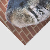 GORILLA TISSUEPAPIER (Detail)