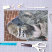 GORILLA TISSUEPAPIER (Craft)