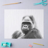 Gorilla Tissuepapier (Craft)