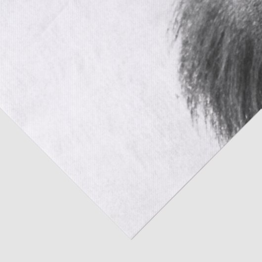 Gorilla Tissuepapier (Detail)